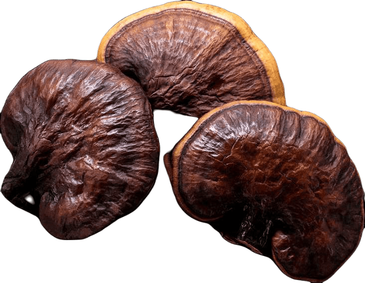 Main ingredient in Myco Calm